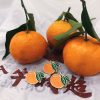 Close up of 3 mandarin orange enamel pins in front of 3 real mandarin oranges